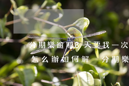 分期樂逾期8天要我一次性結(jié)清怎么辦，如何解決分期樂逾期8天被要求一次性結(jié)清的問題？